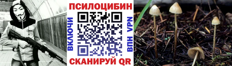 Галлюциногенные грибы ЛСД  Салаир 